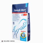 سبيدي بيت