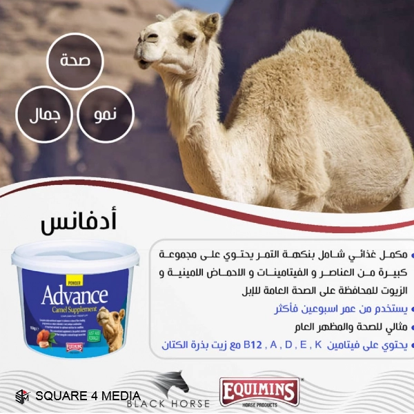 ادفانس الإبل - 10 كيلو