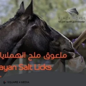 ملح الهملايا الطبيعي