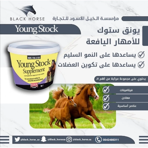 يونق ستوك